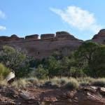 OTRA2013_2153 (July 21, 2013)